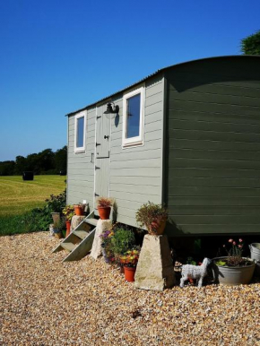 Luxury Shepherd's Hut - The Hyde